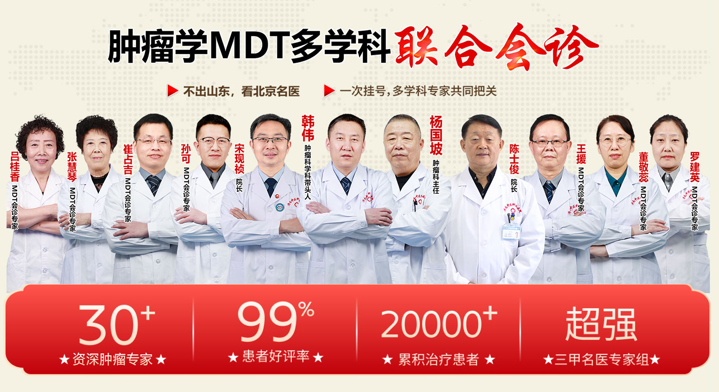 专家团队